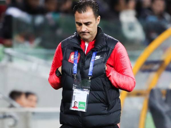 שני משחקים הספיקו לו. קנבארו (getty)