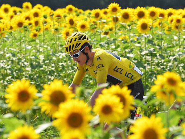 (Tim de Waele/Getty Images)