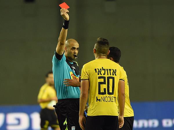 (ברני ארדוב)