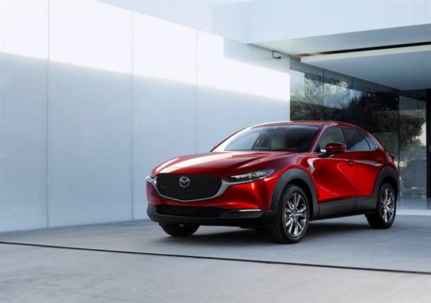 (צילום: יצרן)