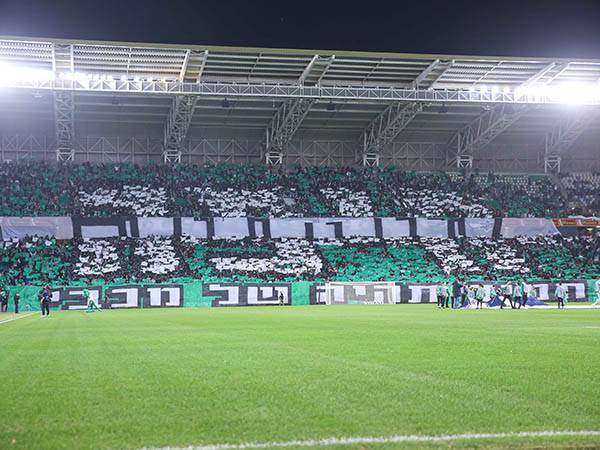 (צילום: מאור אלקסלסי)