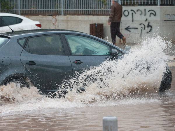 (אודי ציטיאט)