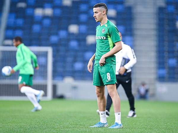 חזיזה. ממשיך להיעדר (מאור אלקסלסי)