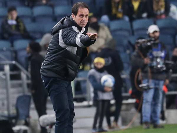 רוני לוי. משווע לחיזוק (דני מרון)