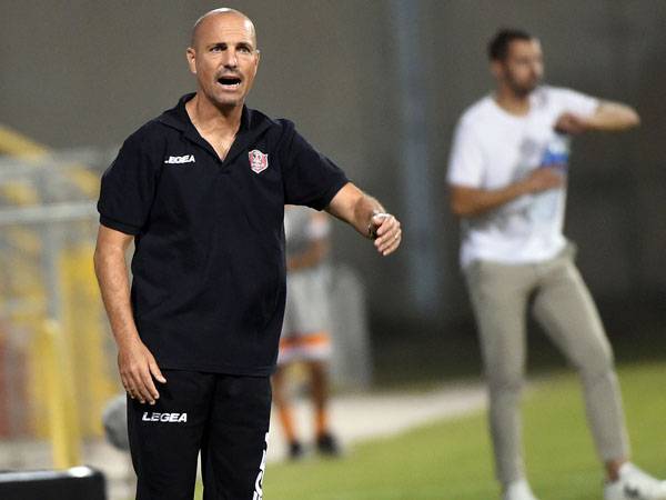 (ברני ארדוב)