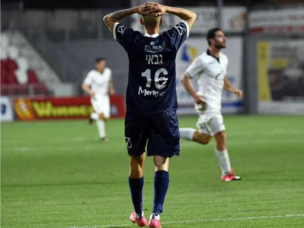 (ברני ארדוב)