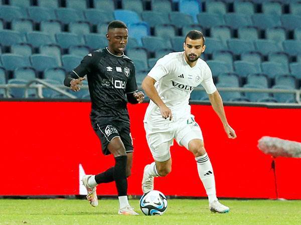 (צילום: אלן שיבר)