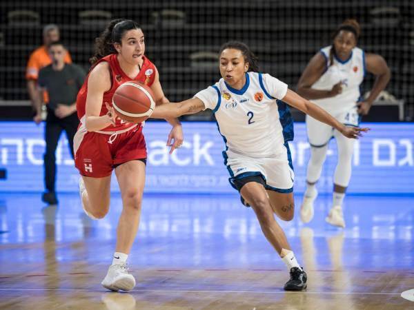 (ספי מגריזו איגוד הכדורסל)