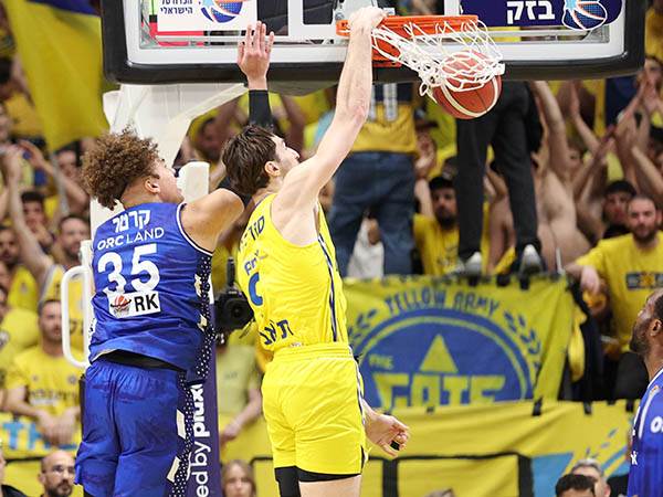 (צילום: אלן שיבר)