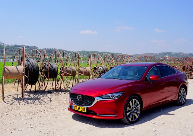 (צילומים: ניר בן-טובים)