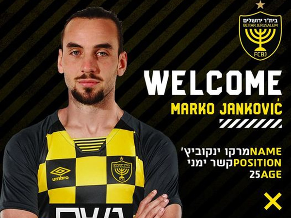 (אלן שיבר)