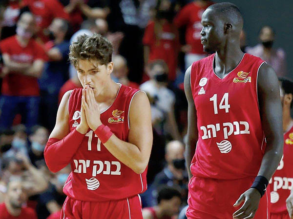 (צילום: אלן שיבר)