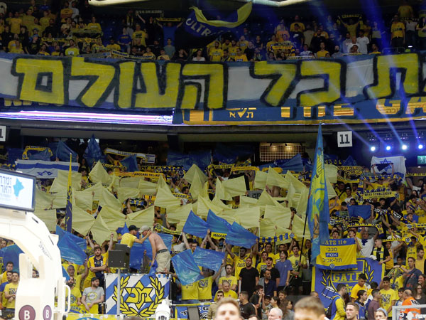 הקהל הצהוב ראה סל בלתי רגיל (אלן שיבר)