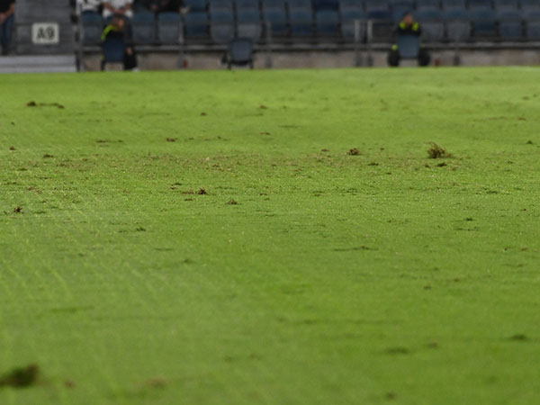 מלא בגבשושיות (ברני ארדוב)