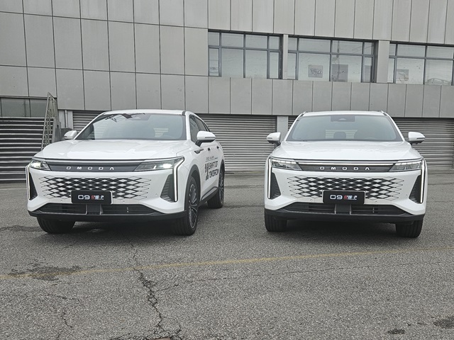 מותגי אומודה וג`אקו, Same same but different