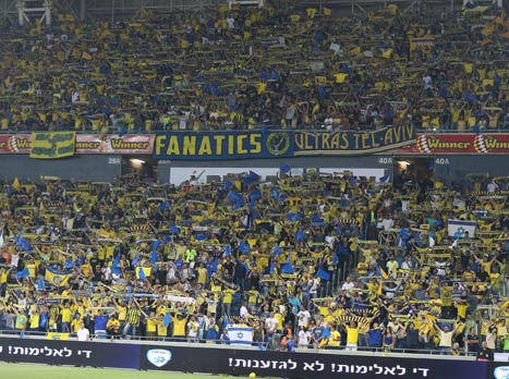 הצהובים בצד השני (טלן שיבר)