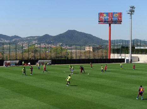 החוק ישתנה?
