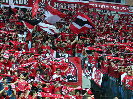הארנה חזרה לרעוד (אלן שיבר)