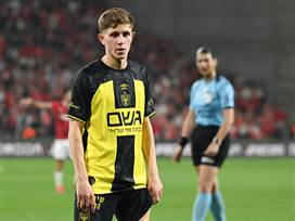 (ברני ארדוב)