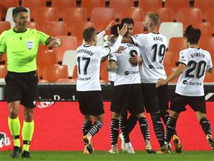 העטלפים יכולים לחגוג (Getty)