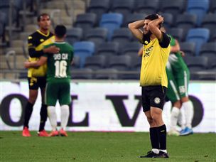 הפלייאוף התחתון מחכה להם (ברני ארדוב)