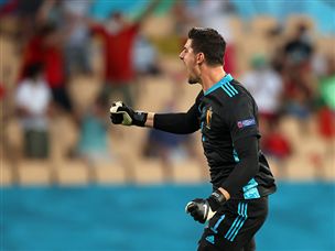 קורטואה. עוד יום נהדר בין הקורות (Getty)