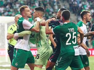 (צילום: אלן שיבר)