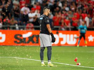 שכמעט עצרו את המשחק (אלן שיבר)