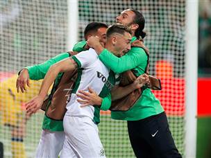 טירוף אצל האלופה (אלן שיבר)