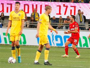 איבדו להם את המשחק (אלן שיבר)