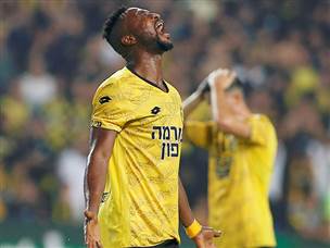 טוומאסי. מסוכן למרות שלא כבש (אלן שיבר)