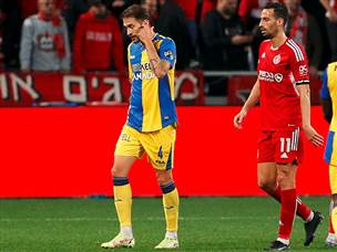 וסאבוריט שהורחק (צילום: אלן שיבר)