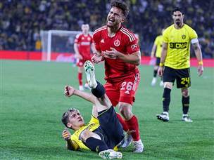 ניקולסקו לא הורחק למרות עבירה ברורה (צילום: דני מרון)