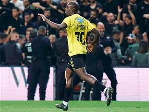 אספרייה צימק (צילום: אלן שיבר)