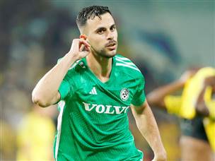 דין דוד עשה את המהפך (צילום: אלן שיבר)