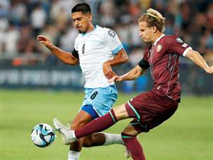 על הדשא, זה הלך לא קל (צילום: אלן שיבר)