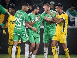 אמוציות על הדשא (אלן שיבר)