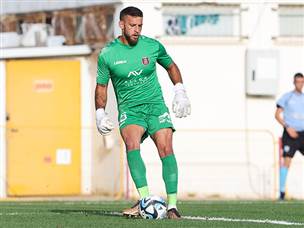 זמיר. בהתחלה הוא עוד מנע מהרשת לרעוד (לירון מולדובן)