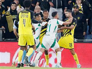 משחק סוער התפתח בטדי (אלן שיבר)