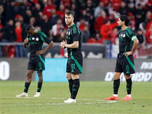 רחוקה מהשער (צילום: אלן שיבר)