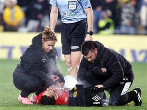 קרב עיקש (אלן שיבר)