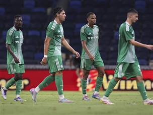 הירוקים שוב מאוכזבים (מאור אלקסלסי)