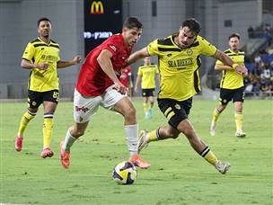 טוריאל. לא היה מספיק מורגש (אלן שיבר)