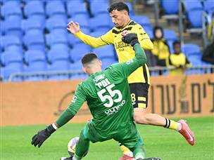 זמיר היה מנע מהרשת לרעוד (ברני ארדוב)