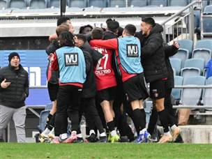 חגיגות גדולות בסיום (ברני ארדוב)