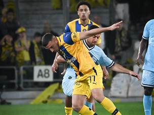 נאבקו (ברני ארדוב)