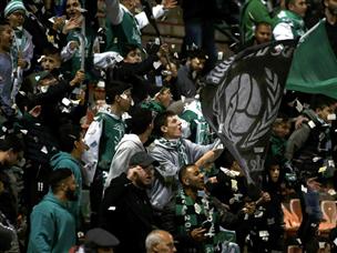 חולמים על הפתעת ענק בטדי. אוהדי כפ"ס (אלן שיבר)