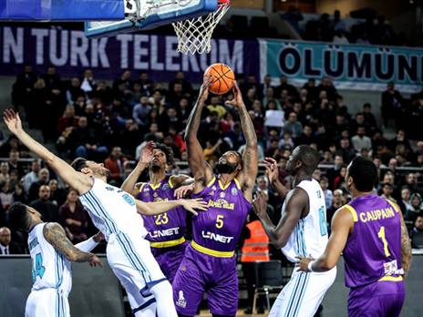 מתקשים בצבע. הוואל (באדיבות פיב"א)