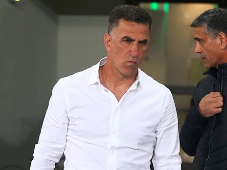 יסיים את החוזה ויעזוב? בלבול (אלן שיבר)