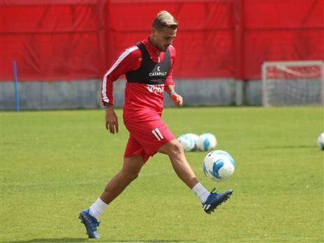 בוזגלו. קורונה? רק בירה (דוברות הפועל ת"א)